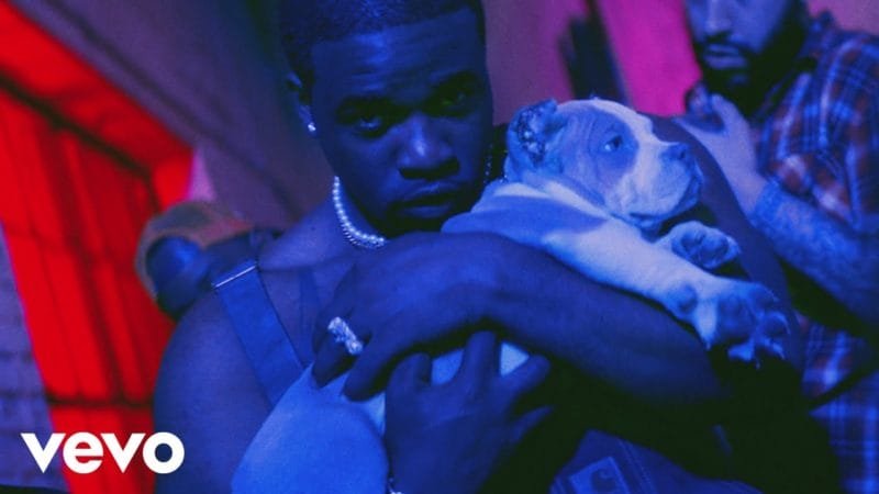 aap rocky e aap ferg se unem no colorido video para pups 1