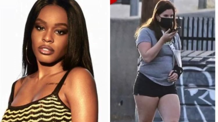 azealia banks lana del rey 1