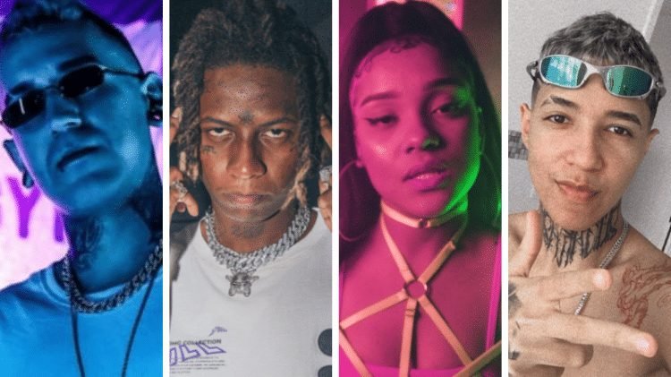 ecologyk massaru vino onnika 1