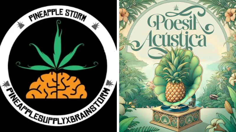 Pineapple StormTV lança o álbum "Poesia Acústica" com todas as edições do projeto 4 Pineapple StormTV lança o álbum “Poesia Acústica” com todas as edições do projeto