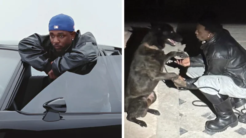 Verso de Kendrick Lamar em novo álbum de Playboi Carti conta com alguns ataques 6 kendrick lamar